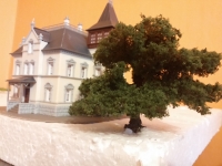 How to make Oak tree in N scale